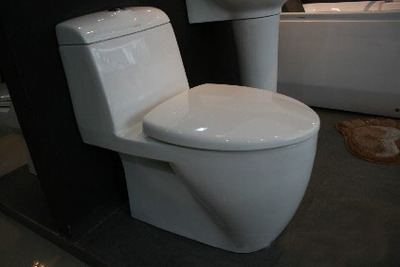 陶瓷衛生潔具八見解 多功能、富于表現力與生命力