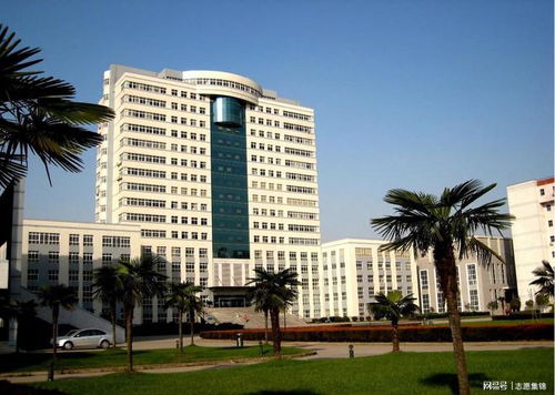 武漢輕工大學(xué) 硬實(shí)力方顯真本事，輕工領(lǐng)域鑄就特色一流